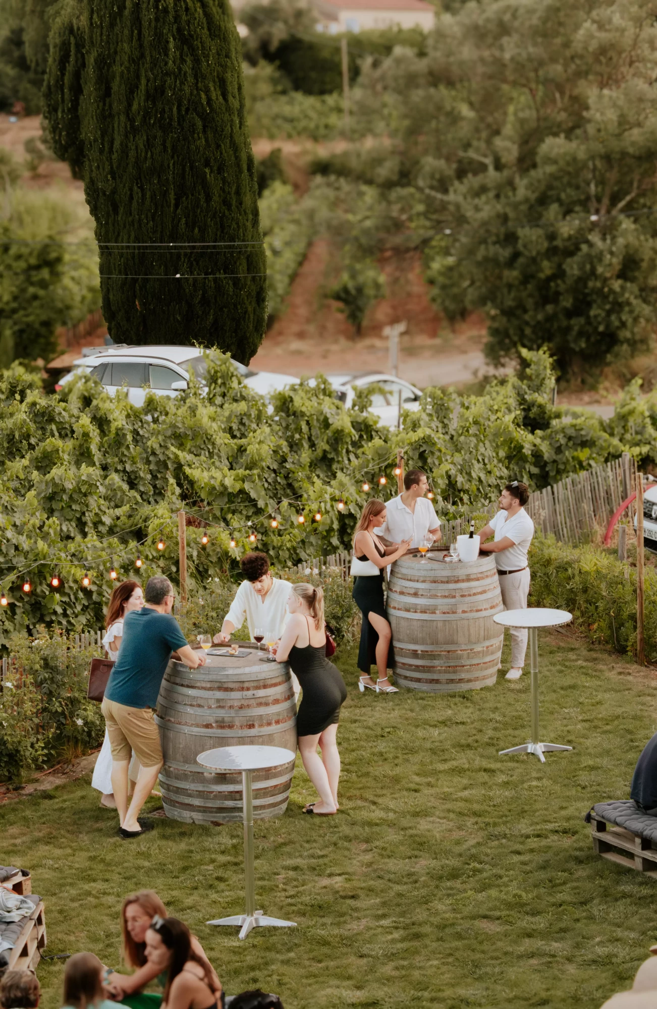 Dégustations de vins au Château Tour Saint Honoré à la Londe-les-Maures